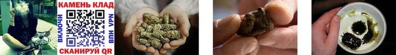 Гашиш Cannabis Купить где Дмитров