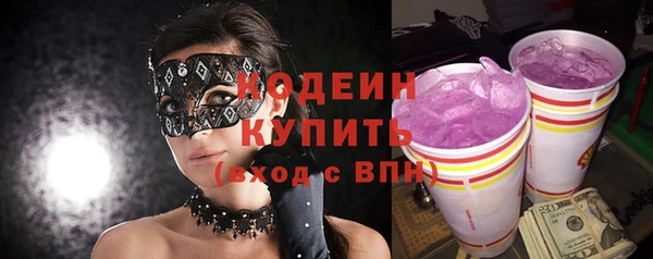мдпв Пестово