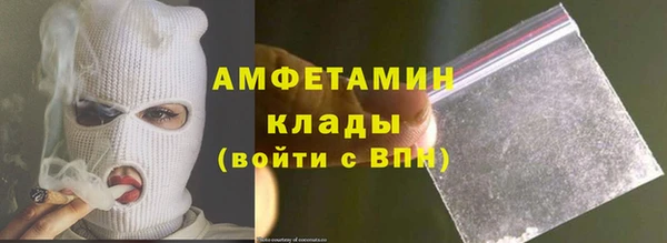 мдпв Пестово