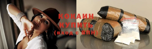 мдпв Пестово