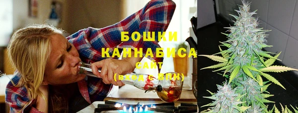 мдпв Пестово