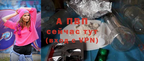 мдпв Пестово